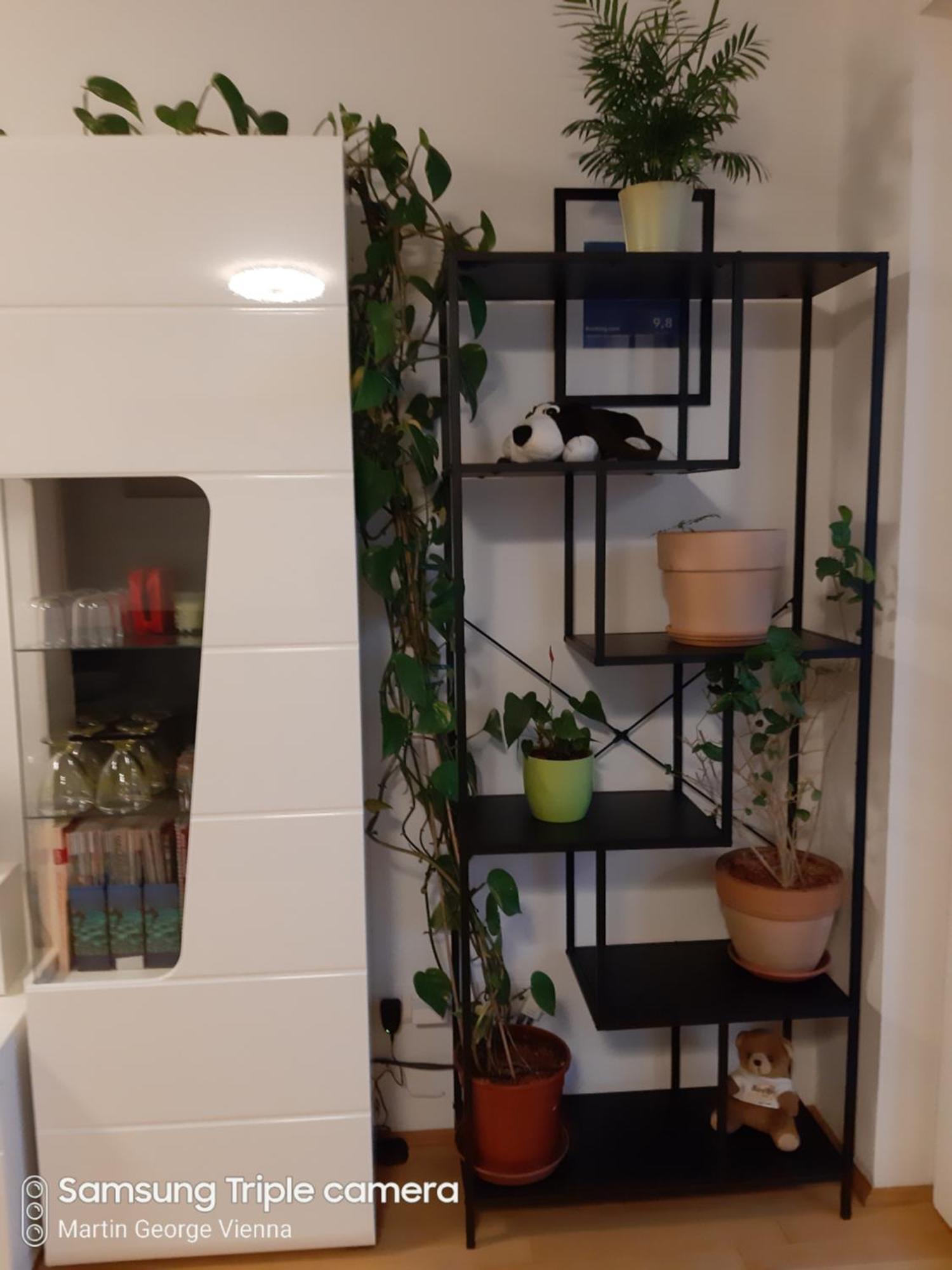 Lion Apartment Wien